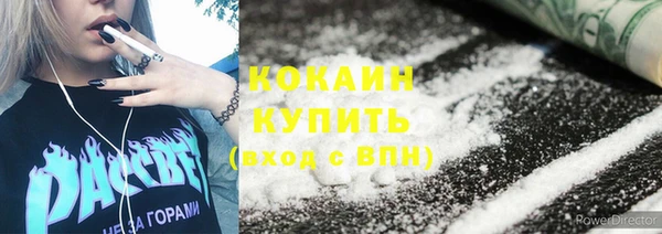 прущие грибы Алзамай