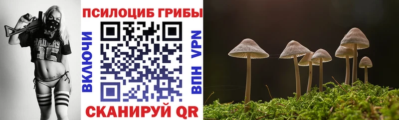 Псилоцибиновые грибы Psilocybe  Пойковский 